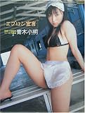 �G�v�����錾�\�؏����ʐ^�W