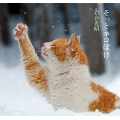 �����ƃl�R�ڂ�
