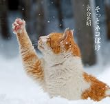 �����ƃl�R�ڂ�