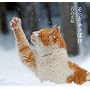 �����ƃl�R�ڂ�
