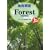 �����p��Forest