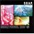 BUBBLE FESTiVAL 2003�E�t [DVD]