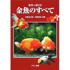 �J���[�K�C�h �����̂��ׂ�