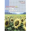 ���˂������c�C���Y  Art Collection Vol.1