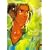 �n���̃A�N�G���I�� Vol.4 [DVD]