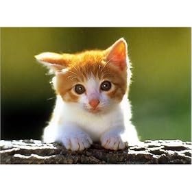 【クリックで詳細表示】500ピース どうしたの RS-5B-100