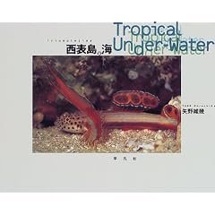 ���\���̊C�\Tropical Under�]Water