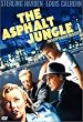 �A�X�t�@���g�E�W�����O�� [DVD]