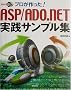�v���������!ASP/ADO.NET���H�T���v���W
