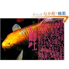 KIROKU ��