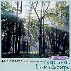 ���g 1/f�̂�炬~Natural Landscape ���������̂����₫-�ؘR����̒��� �ߐ{����-