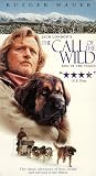  The Call of the Wild: Dog of the Yukon