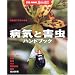 �a�C�ƊQ���n���h�u�b�N�\�A���ʂł����킩�� (�ʍ�NHK��̉��|)