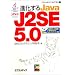 Sun Java 310-055
