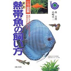 �ŐV �M�ы��̎����� (�ЂƖڂł킩��!�}��)