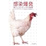 ���������\���C���t���G���U�̋���
