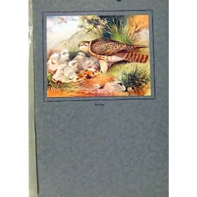 �}�[�����̒��̂Ђ悱�̌Â�������̍����i C1923 ���ł��悭���F���ĉ�����