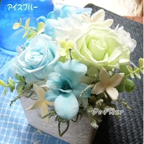 �������A�����W�I�M�t�g�Ƀs�b�^����v���U�[�u�h�t�����[�@�A�C�X�u���[
