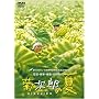 �e���Y�̉� [DVD]
