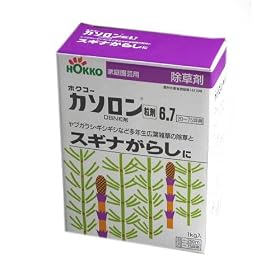 �X�M�i���炵��!�J�\��������6.7�@�e��:1Kg