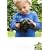 �J�����D��! ���ߋTKAME�}�� (P�]Vine BOOKs)