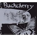 15/Black Butterfly