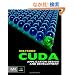 CUDA Application Design and Development