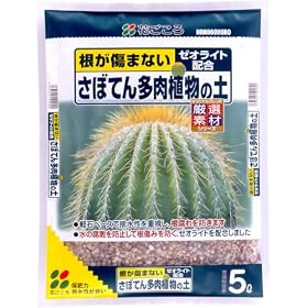 �Ԃ����� ���ڂĂ񑽓��A���̓y 5l