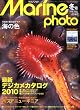 Marine Photo ( �}�����t�H�g ) 2010�N 02���� [�G��]