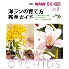 �m�����̈�ĕ����S�K�C�h (�ʍ�NHK��̉��|)