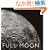 Full Moon