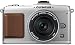 OLYMPUS �}�C�N����� E-P2�p���P�[�L�L�b�g �V���o�[ E-P2PKIT-SLV 