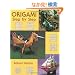Origami Step by Step (Dover Origami Papercraft)