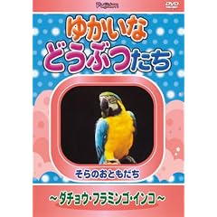�䂩���Ȃǂ��Ԃ��� ~�_�`���E�E�t���~���S�E�C���R~ [DVD]