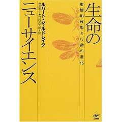 �����̃j���[�T�C�G���X�\�`�Ԍ`����ƍs���̐i��