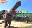 ���̂͂Ȃ����? (�������Ȃ�����)