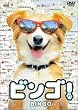 �r���S ! [DVD]