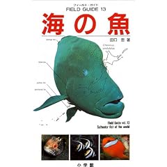 �C�̋� (�t�B�[���h�E�K�C�h)