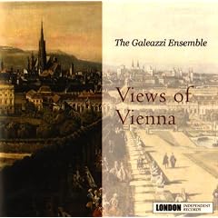 Views of Vienne