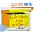 How Many Bugs in a Box?: A Pop Up Counting Book (Bugs in a Box Books)
