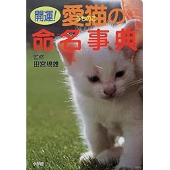 �J�^!���L(�����̂�)�̖������T (���킩��K�C�h)