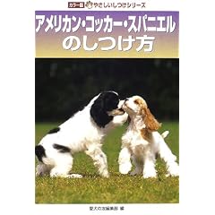 �A�����J���E�R�b�J�[�E�X�p�j�G���̂����� (�J���[�ł₳���������V���[�Y)