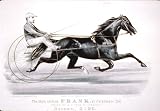  The Black Gelding Frank, by Pathfinder 2nd: Driven by A.J. Feek of Syracuse. Record, 2:20 (Reprint 24