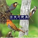 �qCOLEZO!�r���R�� ���{�̖쒹