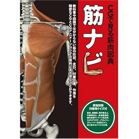 CG�Ō���ؓ��}�T�@�؃i�r1.0 ���i�����΍��p�N�C�Y�t