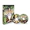 �I�ɕ���DVD�̖ʁX�@����1