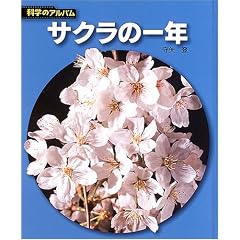 �T�N���̈�N (�Ȋw�̃A���o��)