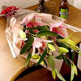 �����ԑ��E���a�����E���j���ɍœK�I���߂܂ł̂������͗����z�B�y�z�B���w��s�z