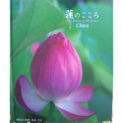 蓮のこころ(CD付)
