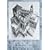 1000�s�[�X �㏸�Ɖ��~(�G�b�V���[)<���E�ŏ��W�O�\�[> TW-1000-795